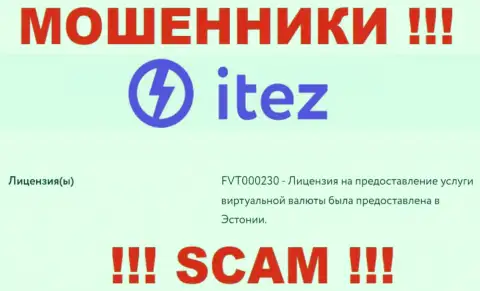 Это именно тот лицензионный документ, который предложен на официальном онлайн-сервисе Itez