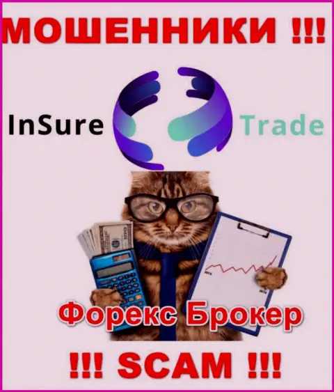ФОРЕКС - это то, чем промышляют интернет шулера Insure Trade