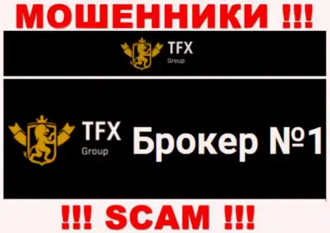 Не советуем доверять денежные вложения TFX Group, так как их направление деятельности, Форекс, обман