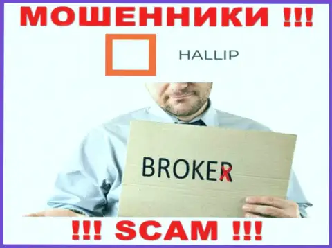 Вид деятельности internet-мошенников Hallip - это Брокер, однако имейте ввиду это развод !!!