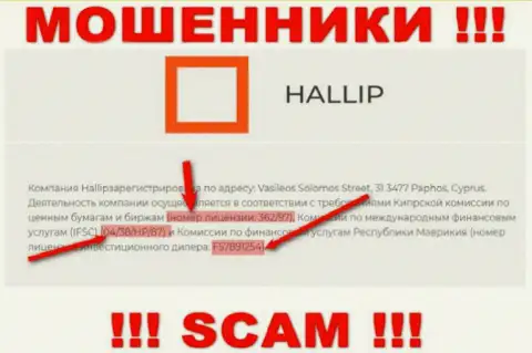 Не имейте дело с кидалами Hallip Com - существованием лицензионного номера, на сайте, заманивают доверчивых людей
