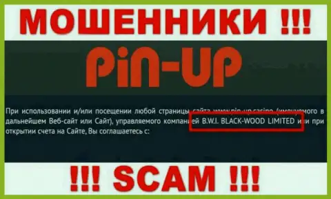 Мошенники Pin-Up Casino принадлежат юр. лицу - B.W.I. BLACK-WOOD LIMITED