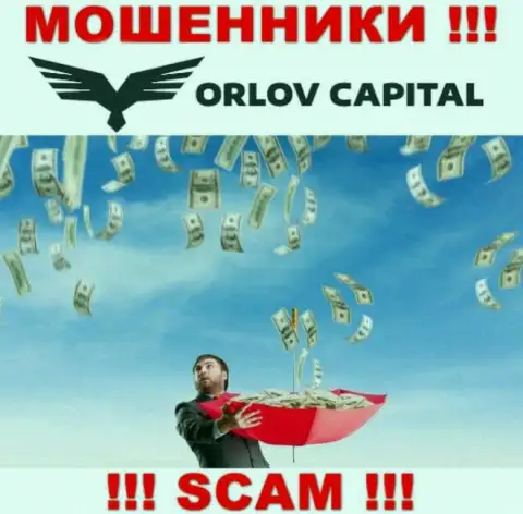 Orlov Capital стараются развести на совместное сотрудничество ? Будьте очень осторожны, обманывают