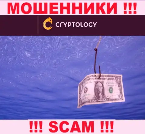 И депозиты, и все последующие дополнительные финансовые вложения в организацию Cryptology будут украдены - ШУЛЕРА