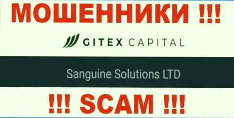 Юридическое лицо GitexCapital - Sanguine Solutions LTD, такую инфу расположили кидалы у себя на сайте