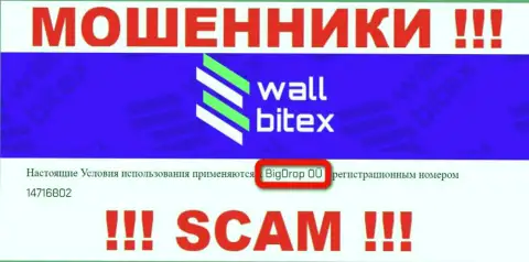 ВаллБитекс Ком это ШУЛЕРА !!! Руководит указанным лохотроном BigDrop OÜ