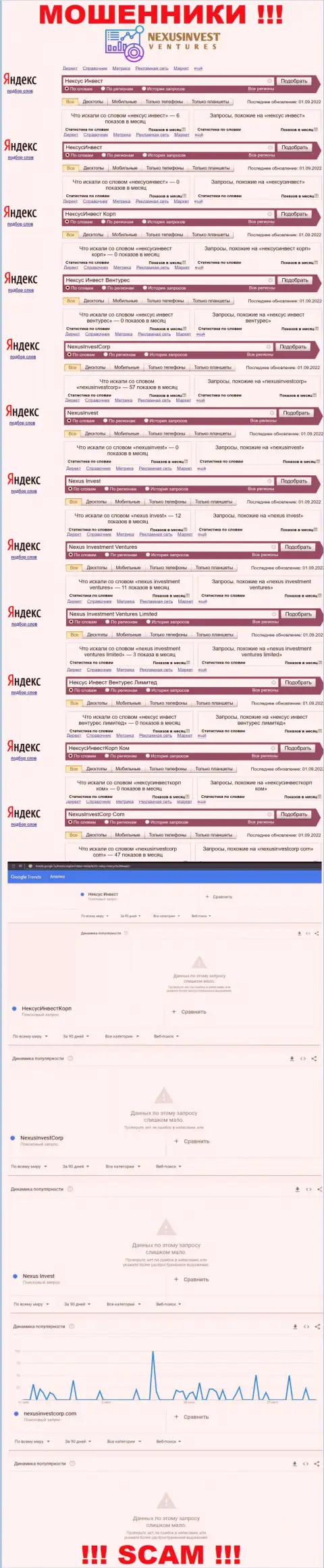 Статистика брендовых поисковых запросов по мошеннической компании Нексус Инвест Вентурес Лимитед