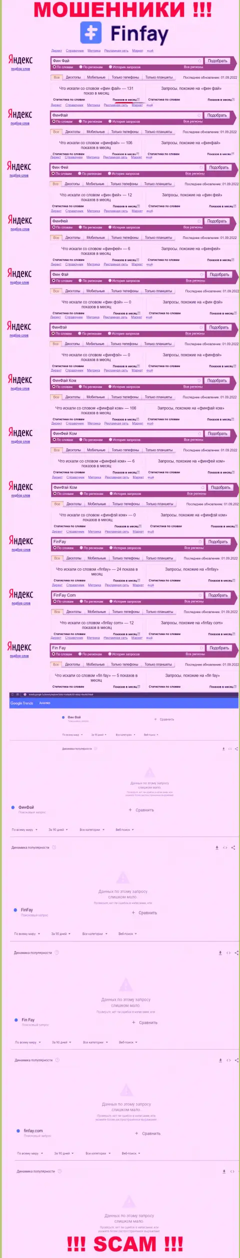 Количество online запросов в глобальной сети internet по бренду мошенников Фин Фай