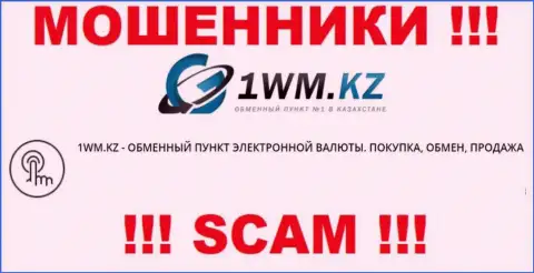 Деятельность internet мошенников 1 ВМ Кз: Internet-обменник - это ловушка для малоопытных людей