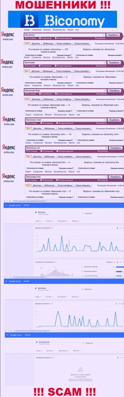 Какое количество людей искало сведения о Biconomy - статистика online запросов по указанной конторе