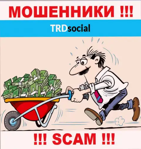 Совместное взаимодействие с компанией TRD Social дохода не принесет, потому что это ЛОХОТРОНЩИКИ и ВОРЫ