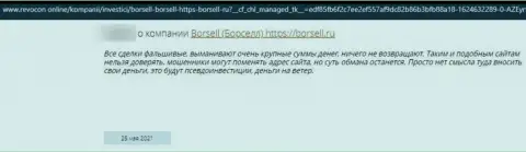 Правильнее решения, чем находиться на вытянутую руку от компании Borsell вы не отыщите, (отзыв)