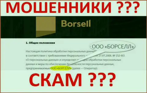 Borsell LLC - это компания, которая управляет internet мошенниками Борселл Ру