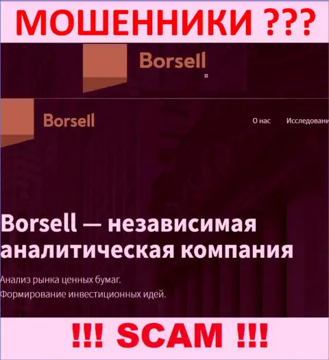 Что касательно сферы деятельности Borsell LLC (Аналитика) - это явно разводняк