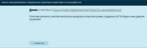 Организация CauvoCapital описана в отзыве на интернет-ресурсе revocon ru
