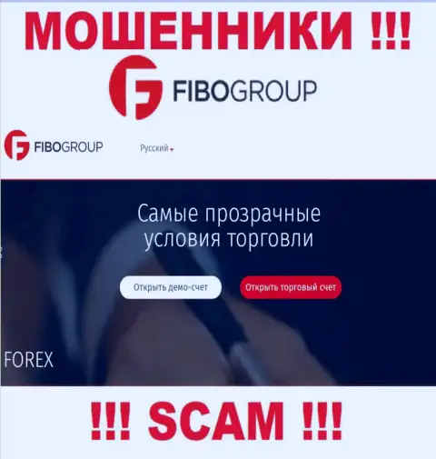 Область деятельности компании Fibo Group Ltd - это замануха для наивных людей