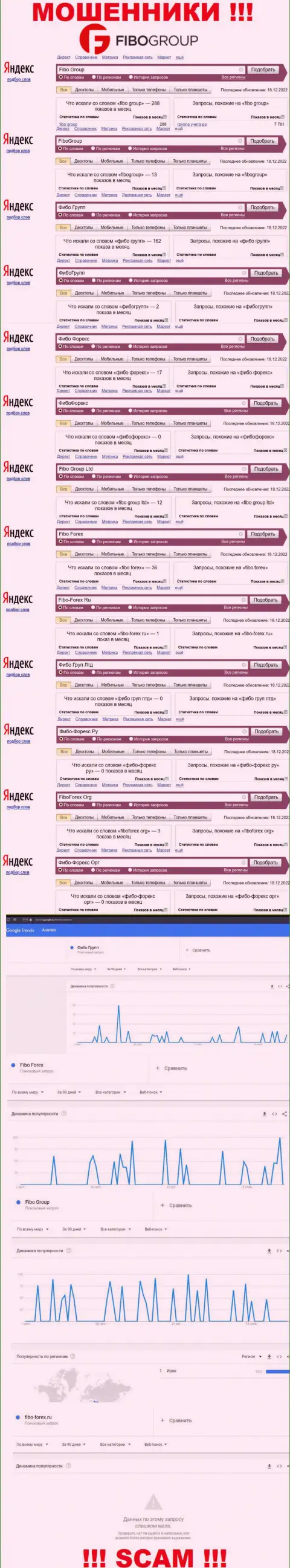 Статистические показатели поисков сведений об internet махинаторах FiboForex