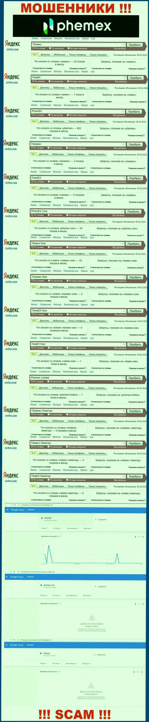 Детальная информация по количеству online-запросов по ворюгам PhemEX в сети internet