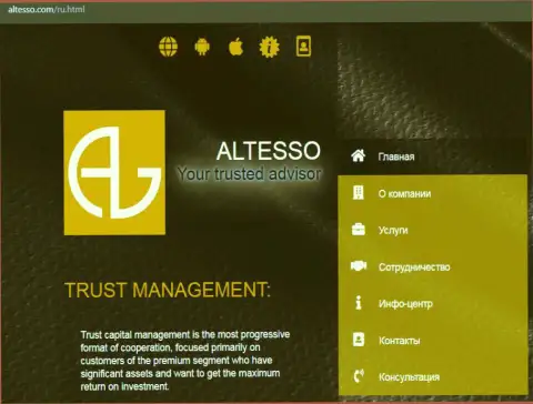 Официальный сайт организации АлТессо Ком