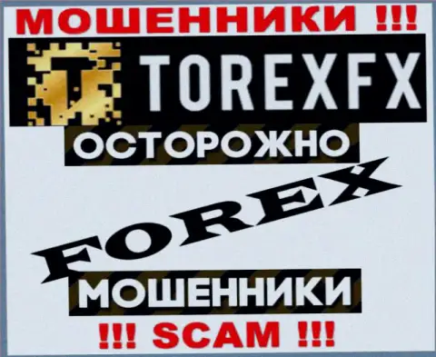 Область деятельности Торекс ФХ: Forex - отличный заработок для мошенников