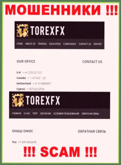В арсенале у internet жуликов из TorexFX припасен не один номер телефона